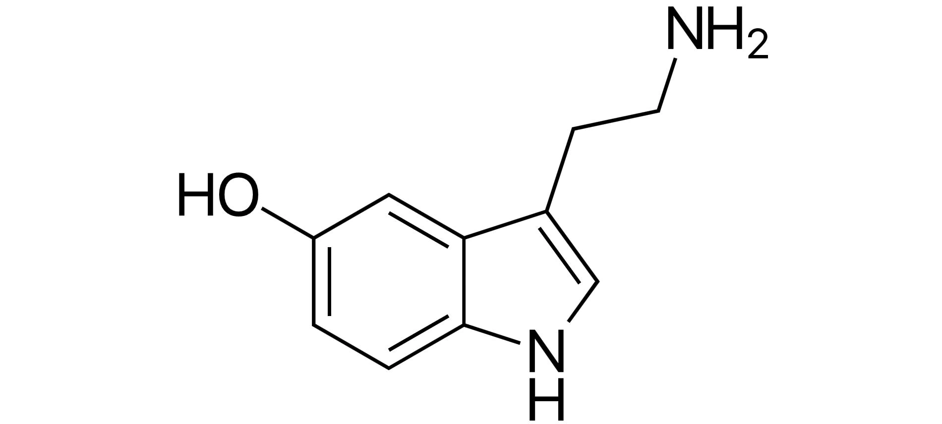 血清素