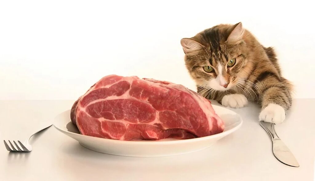 How do we manage to pet cats and eat steak without missing out on either?