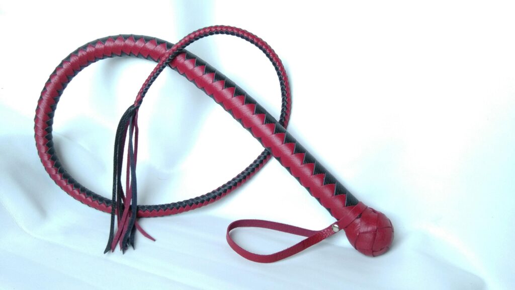 Female M Participants in BDSM Relationships Show Less Empathy for Other People’s Pain