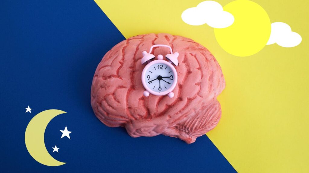 Does the human body have a ‘weekly rhythm’?