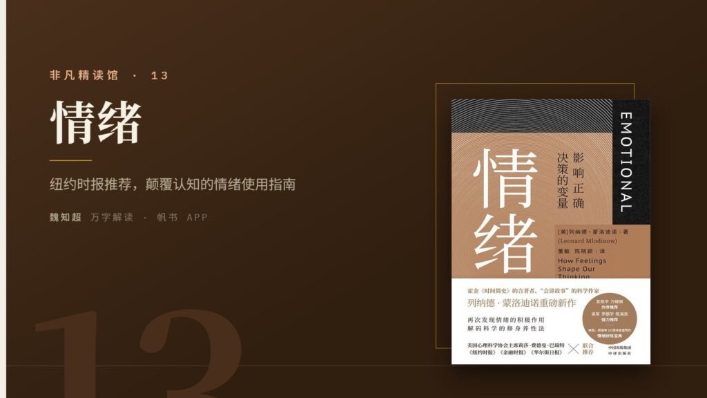 《情绪》万字解读丨非凡精读馆 13