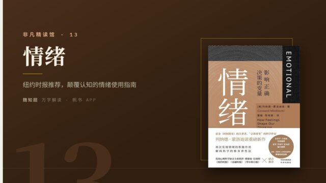 《情绪》万字解读丨非凡精读馆 13