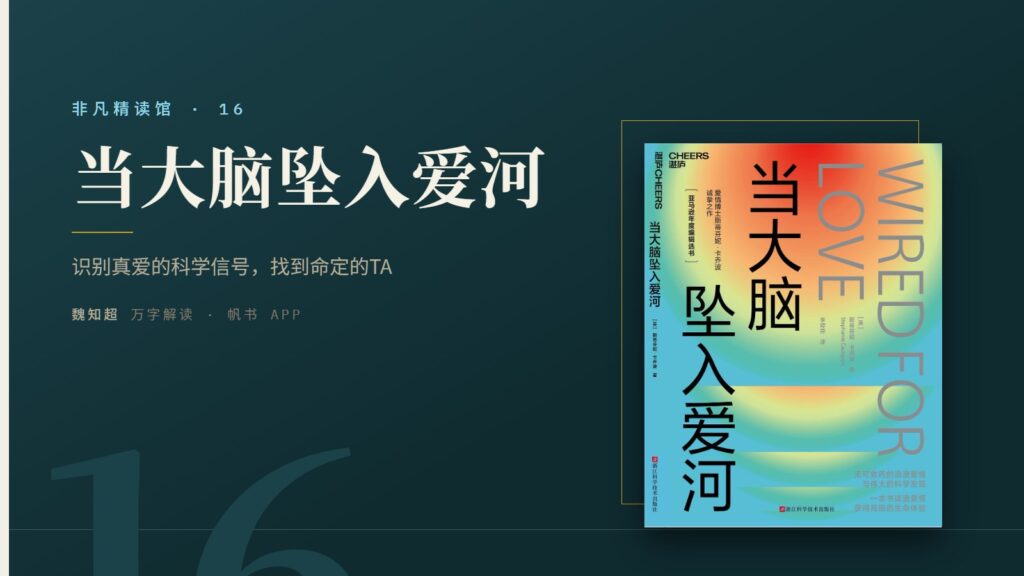 《当大脑坠入爱河》万字解读丨非凡精读馆 16