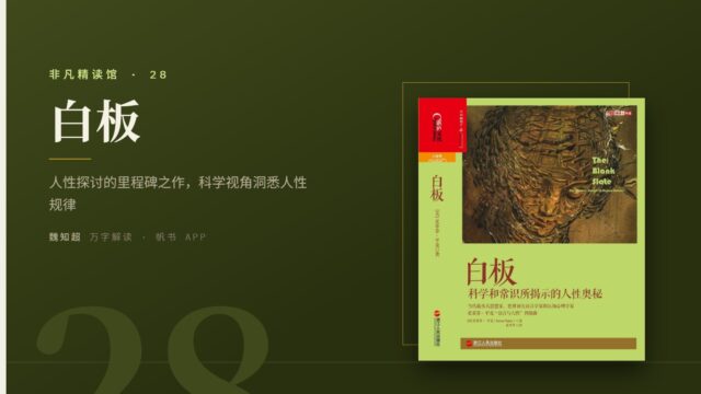 《白板》万字解读丨非凡精读馆 28