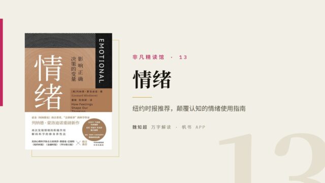 《情绪》万字解读丨非凡精读馆 13