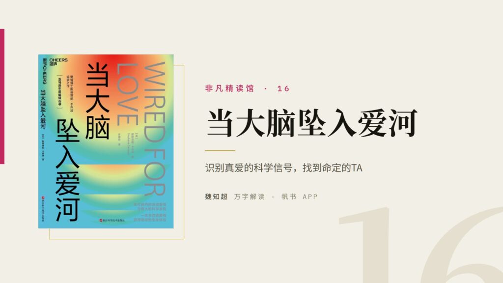 《当大脑坠入爱河》万字解读丨非凡精读馆 16