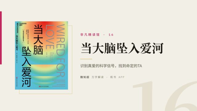 《当大脑坠入爱河》万字解读丨非凡精读馆 16